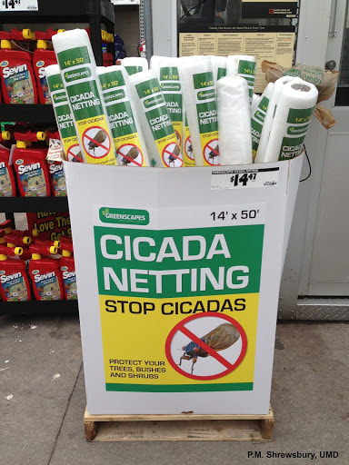 Cicada netting for sale in a store to protect trees, bushes, and shrubs from cicadas. (P.M. Shrewsbury)