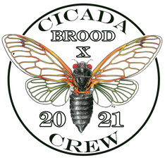 Cicada Crew UMD
